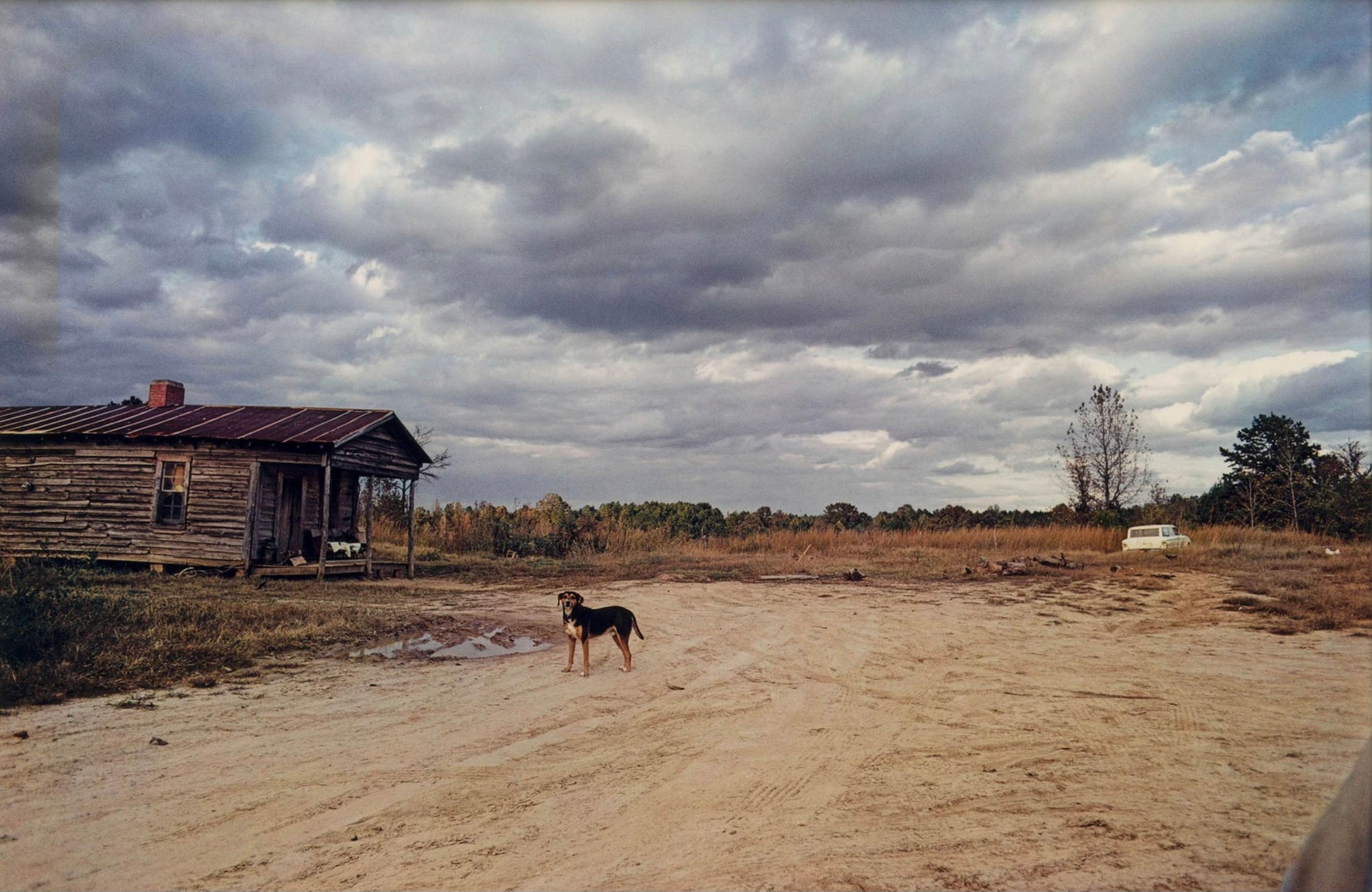 William Eggleston — 2-13