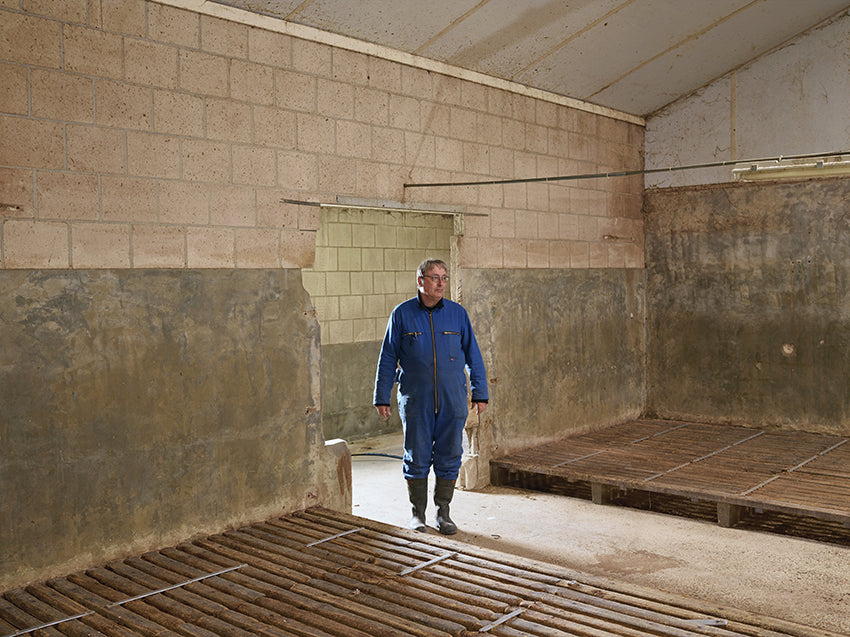 Henk Wildschut — Territorium