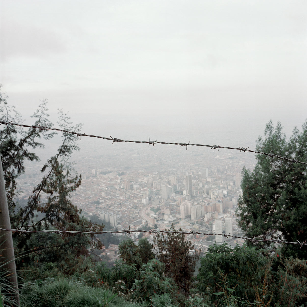 Alec Soth — Dog Days Bogotá