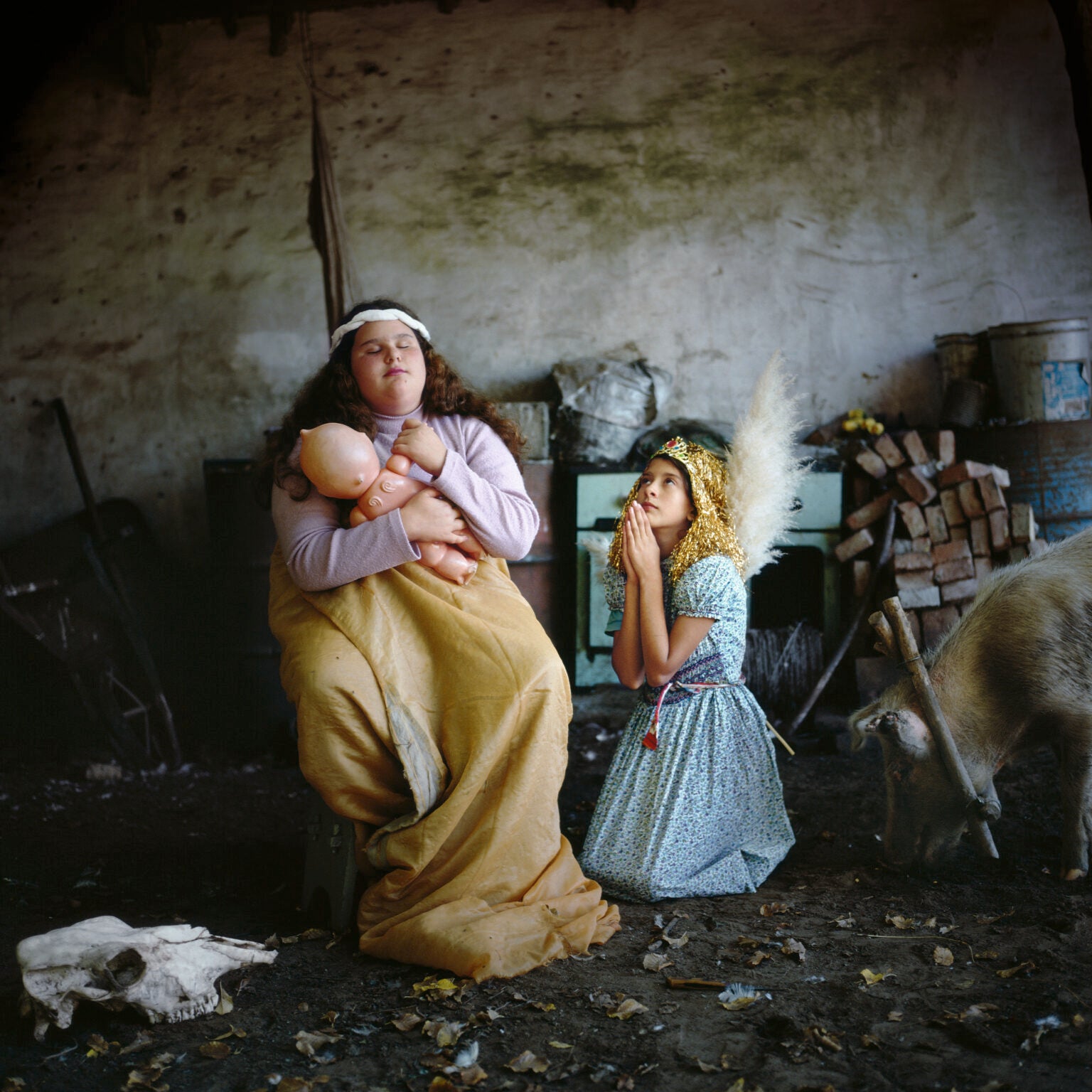 Alessandra Sanguinetti — The Adventures of Guille and Belinda and The Enigmatic Meaning of Their Dreams