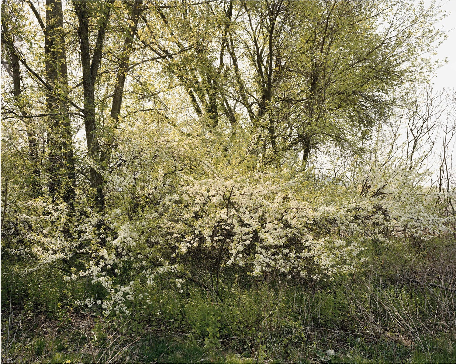 Joel Sternfeld — Oxbow Archive