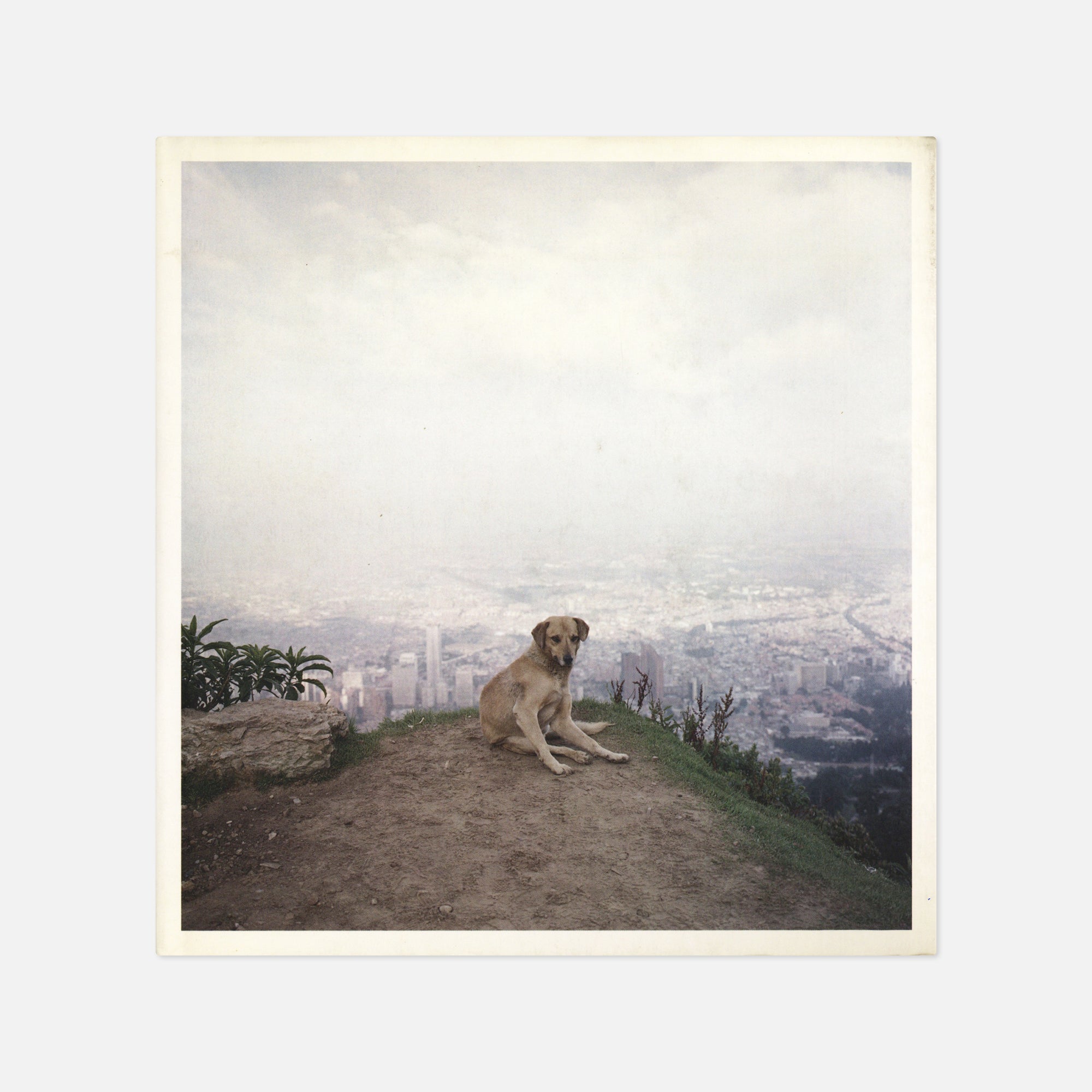 Alec Soth — Dog Days Bogotá