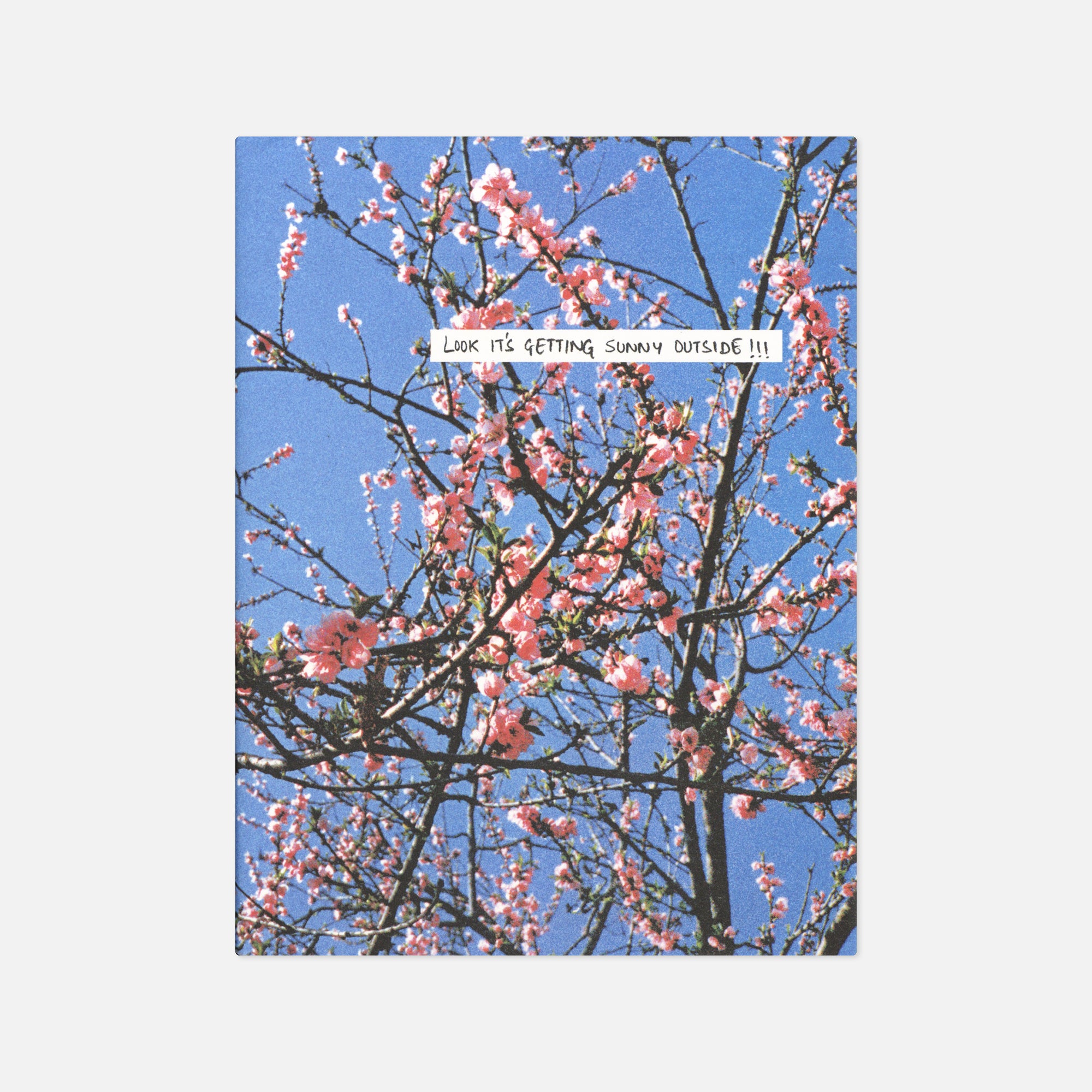 Sohrab Hura — Look It's Getting Sunny Outside!!! – Wolf Books