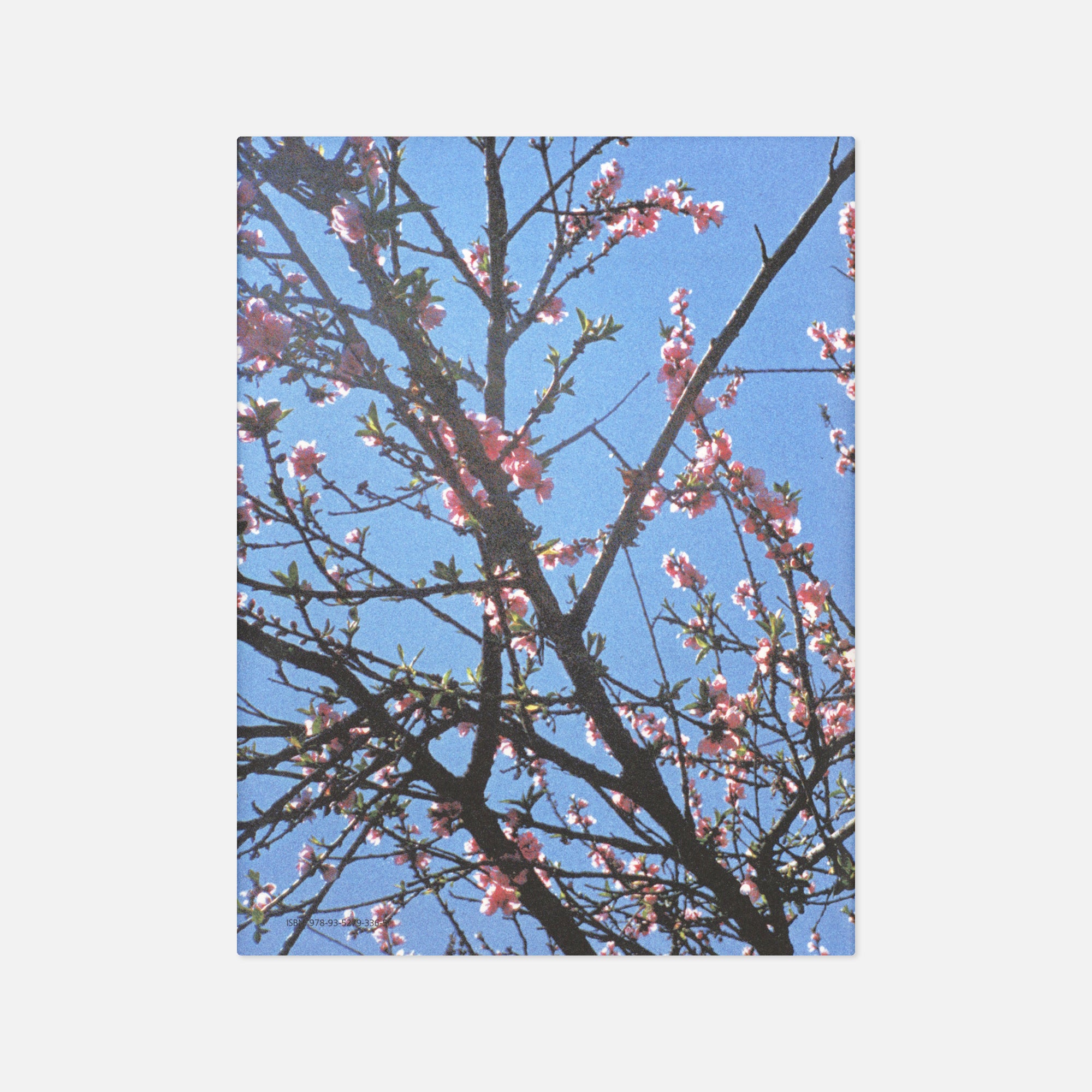 Sohrab Hura — Look It's Getting Sunny Outside!!!