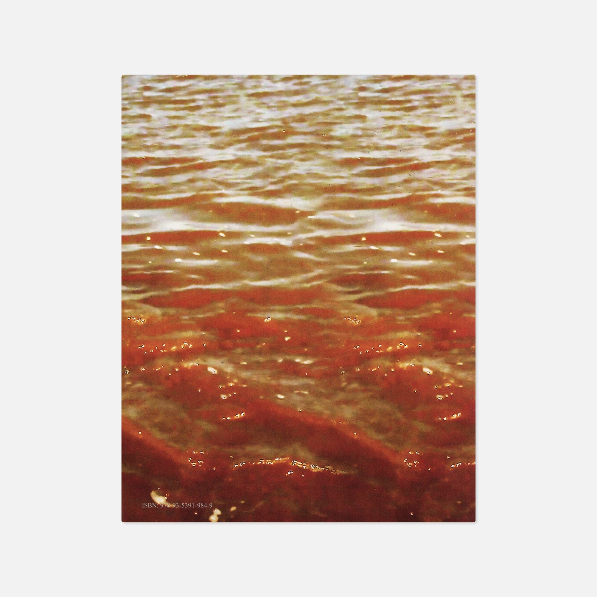 Sohrab Hura — The Levee