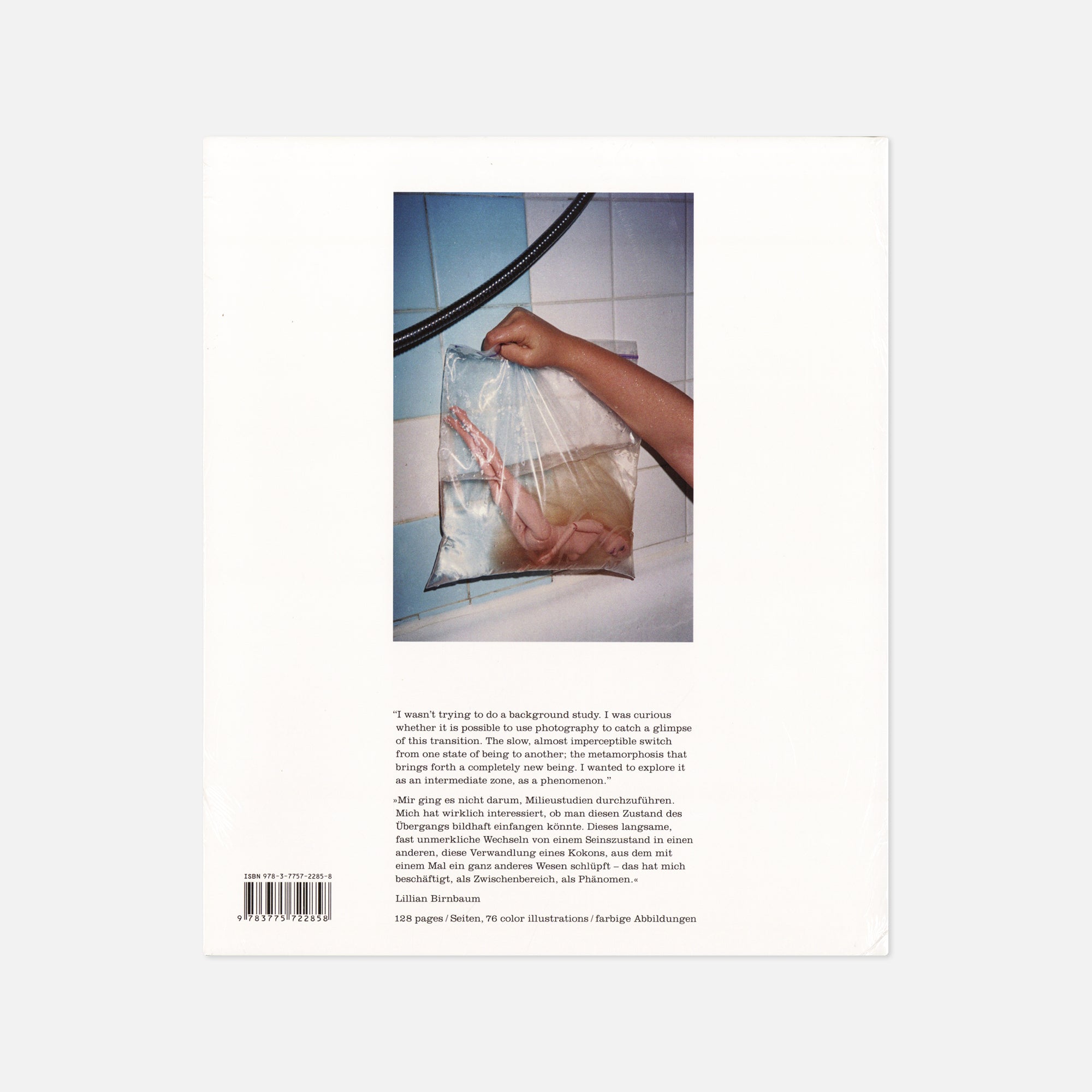Lillian Birnbaum — Transition