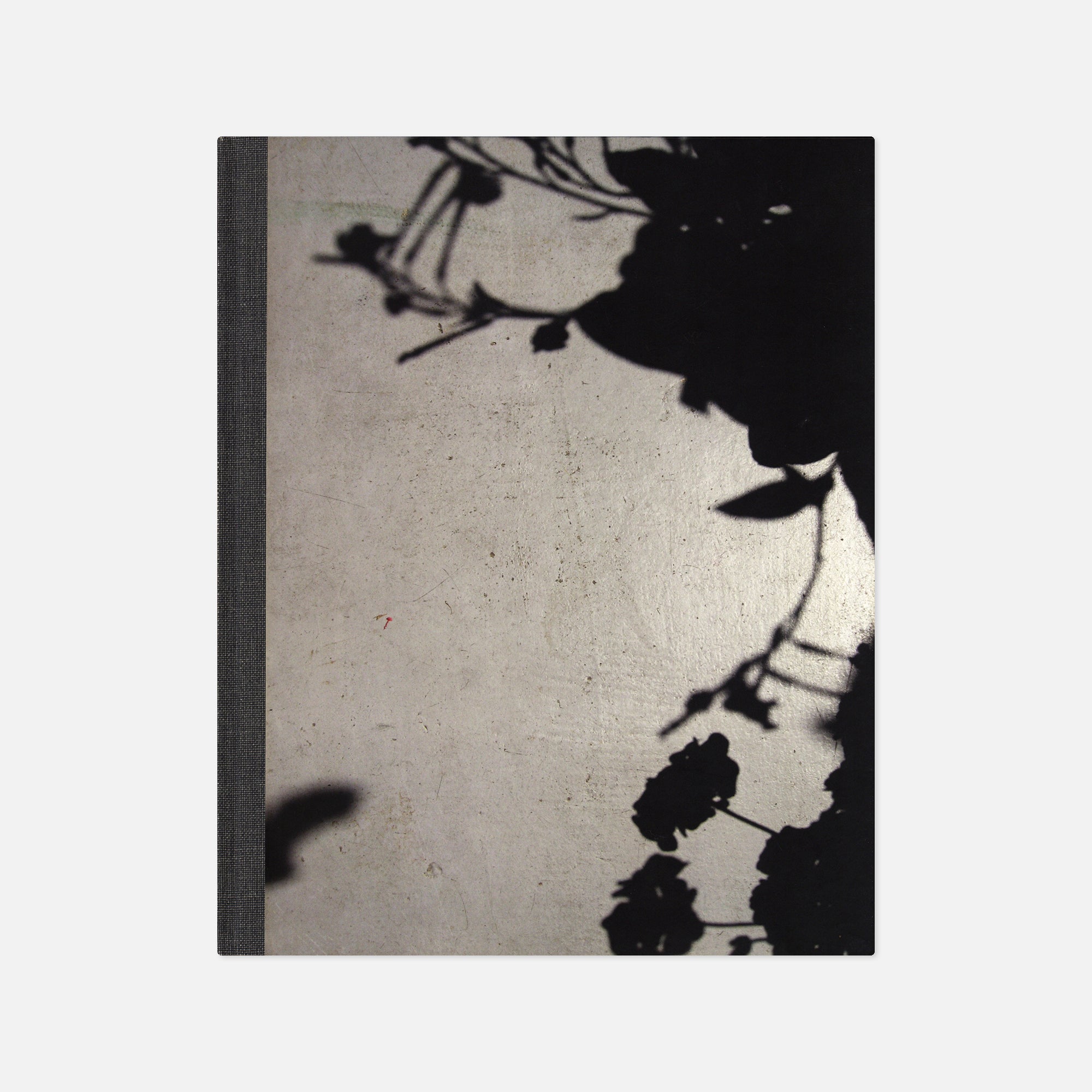 Collier Schorr — Blumen