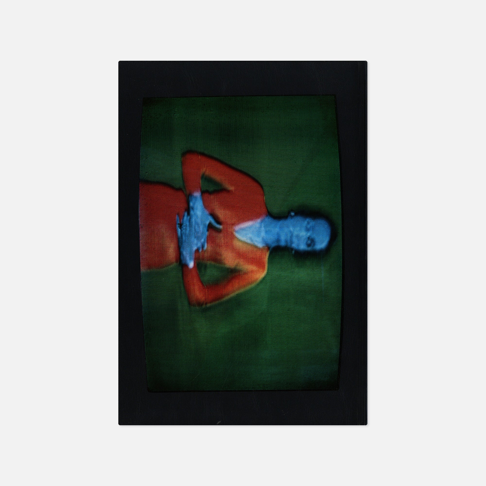 Harry Gruyaert — TV Shots