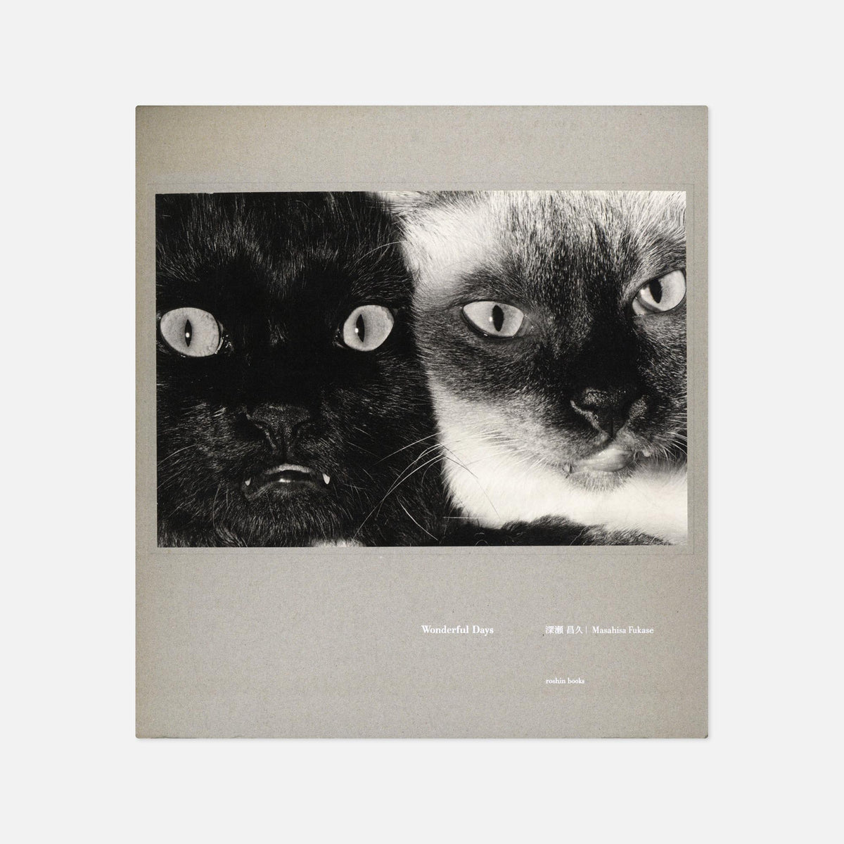 Masahisa Fukase — Wonderful Days