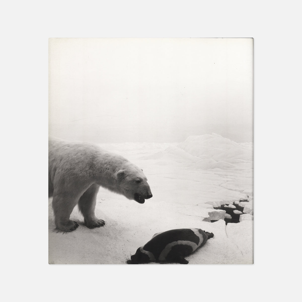 Hiroshi Sugimoto — Dioramas