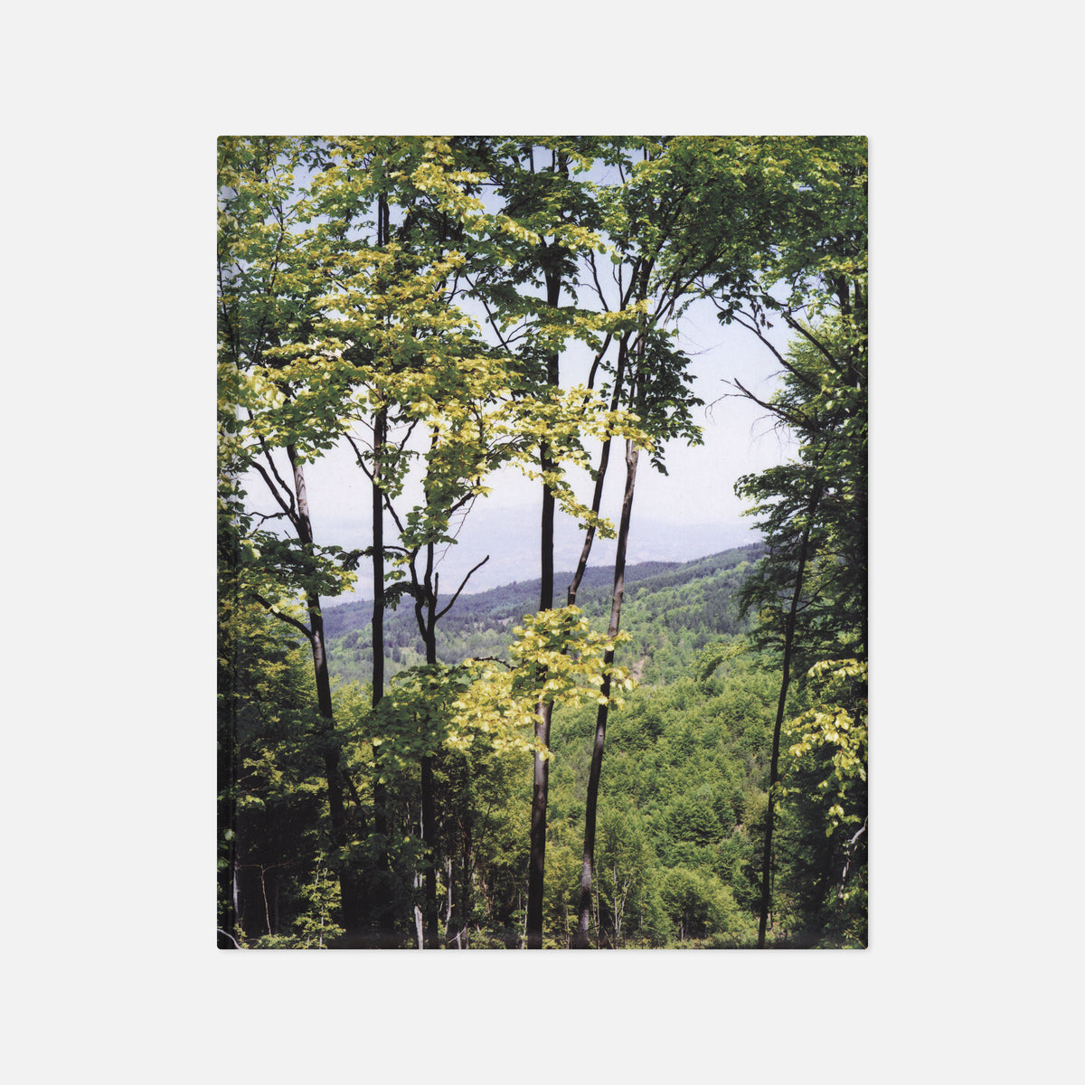 Cuny Janssen — Macedonia