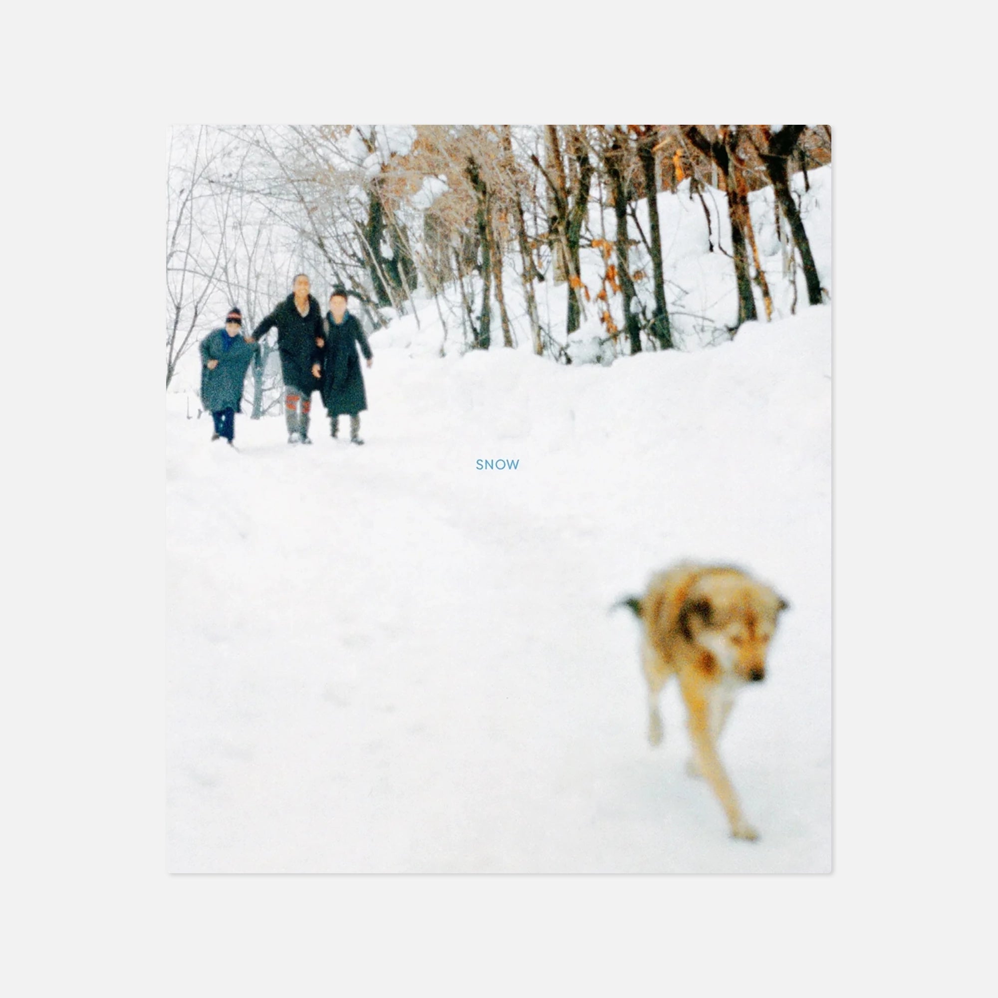 Sohrab Hura — Snow