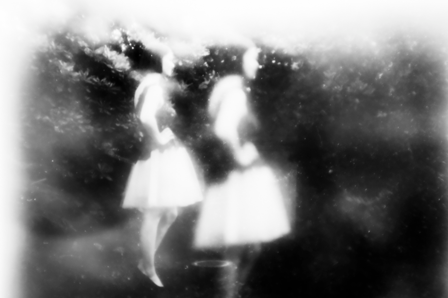 Alison McCauley — Shimmers