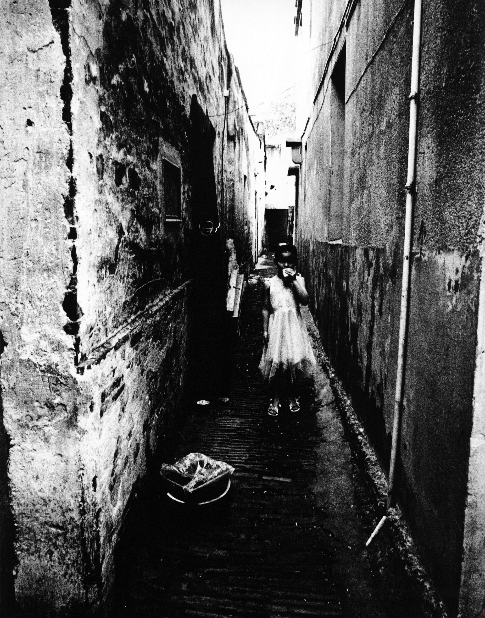 Daido Moriyama — JGS: Witness Number Two