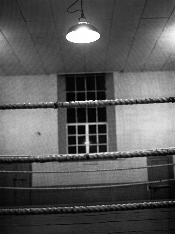 Kurt Markus — Boxers