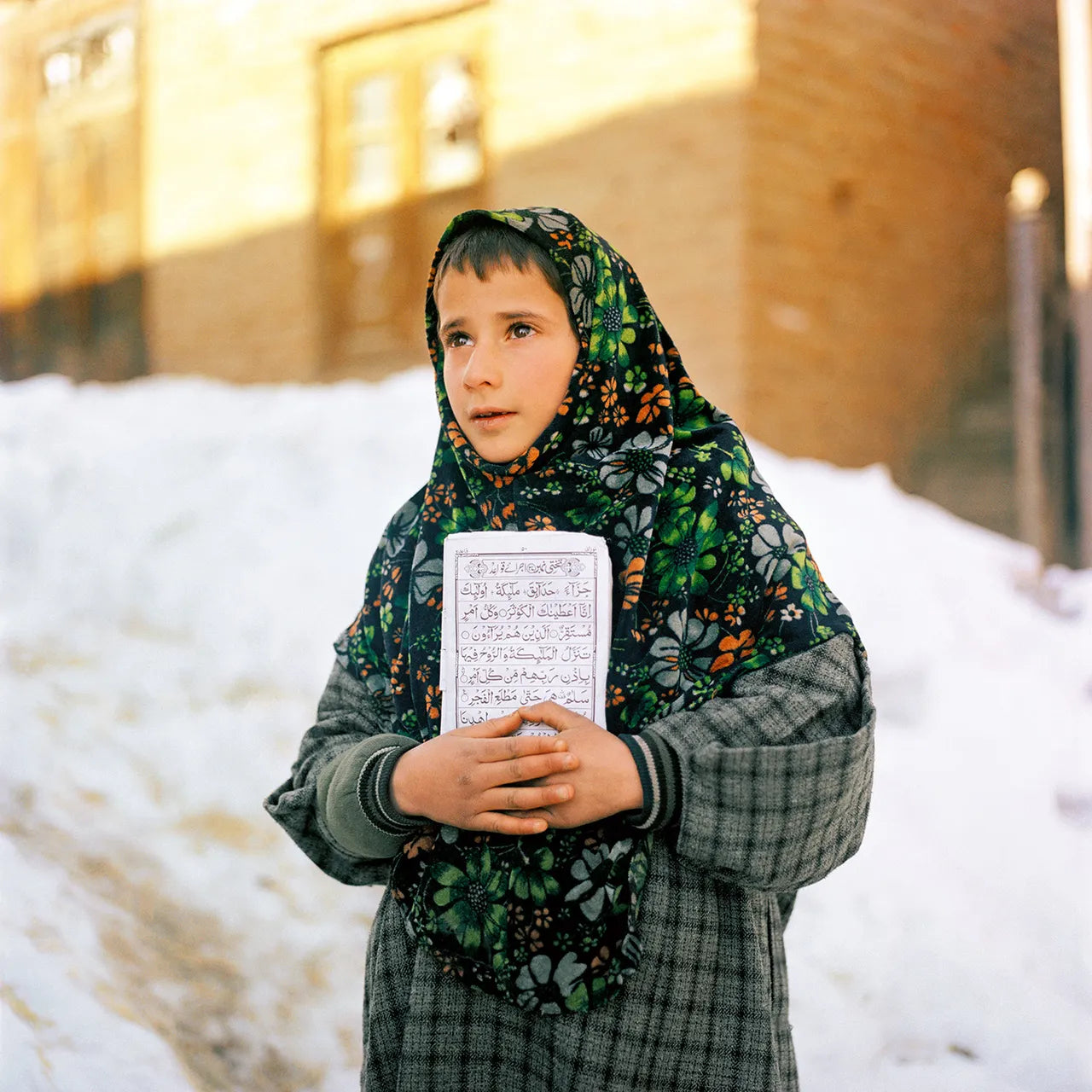 Sohrab Hura — Snow