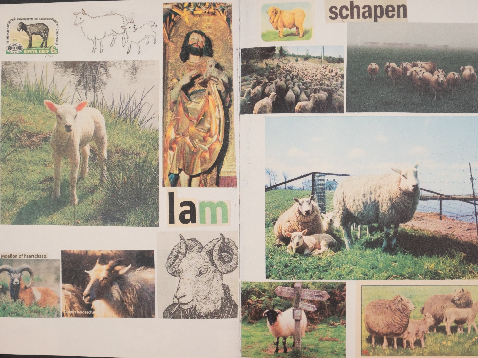 Lous Martens — Animal Books for Jaap, Zeno, Anna, Julian & Luca
