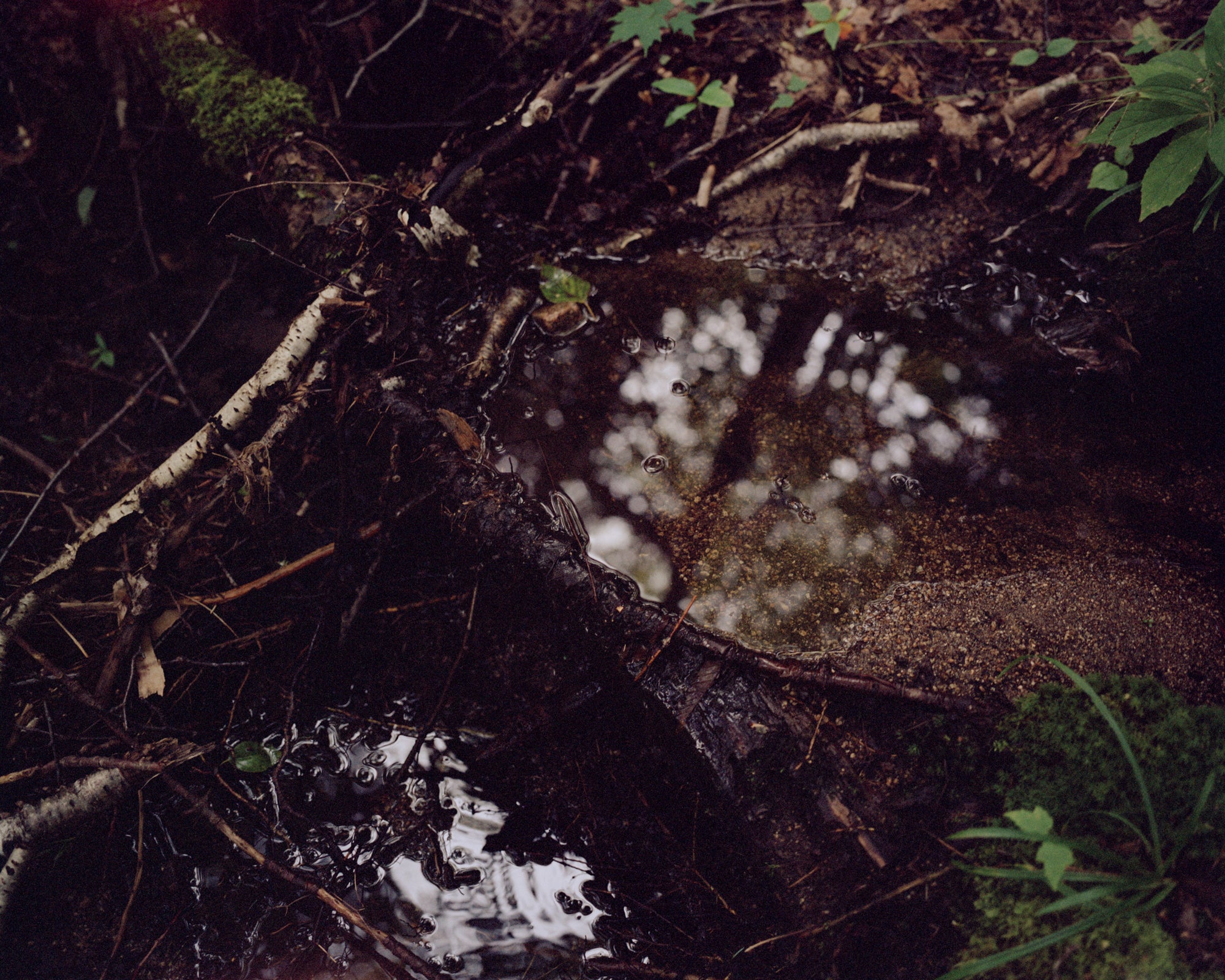 Coley Brown — A Recurring Dream