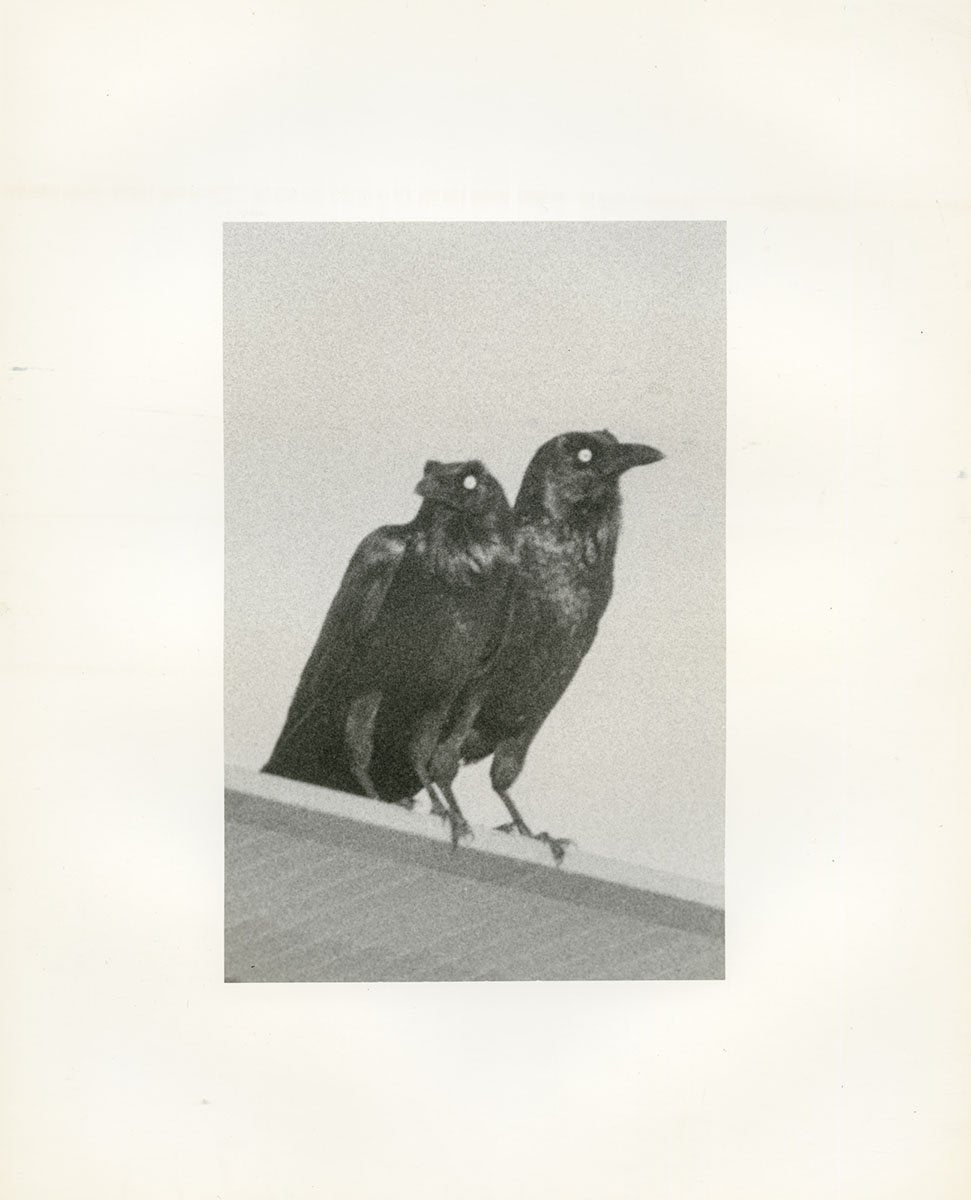 Wouter van de Voorde — Death is not Here