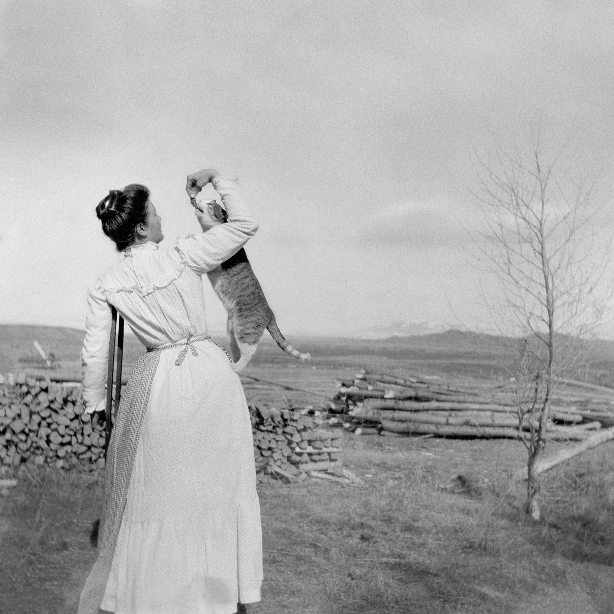 Lorca Webb Nichols — Encampment, Wyoming