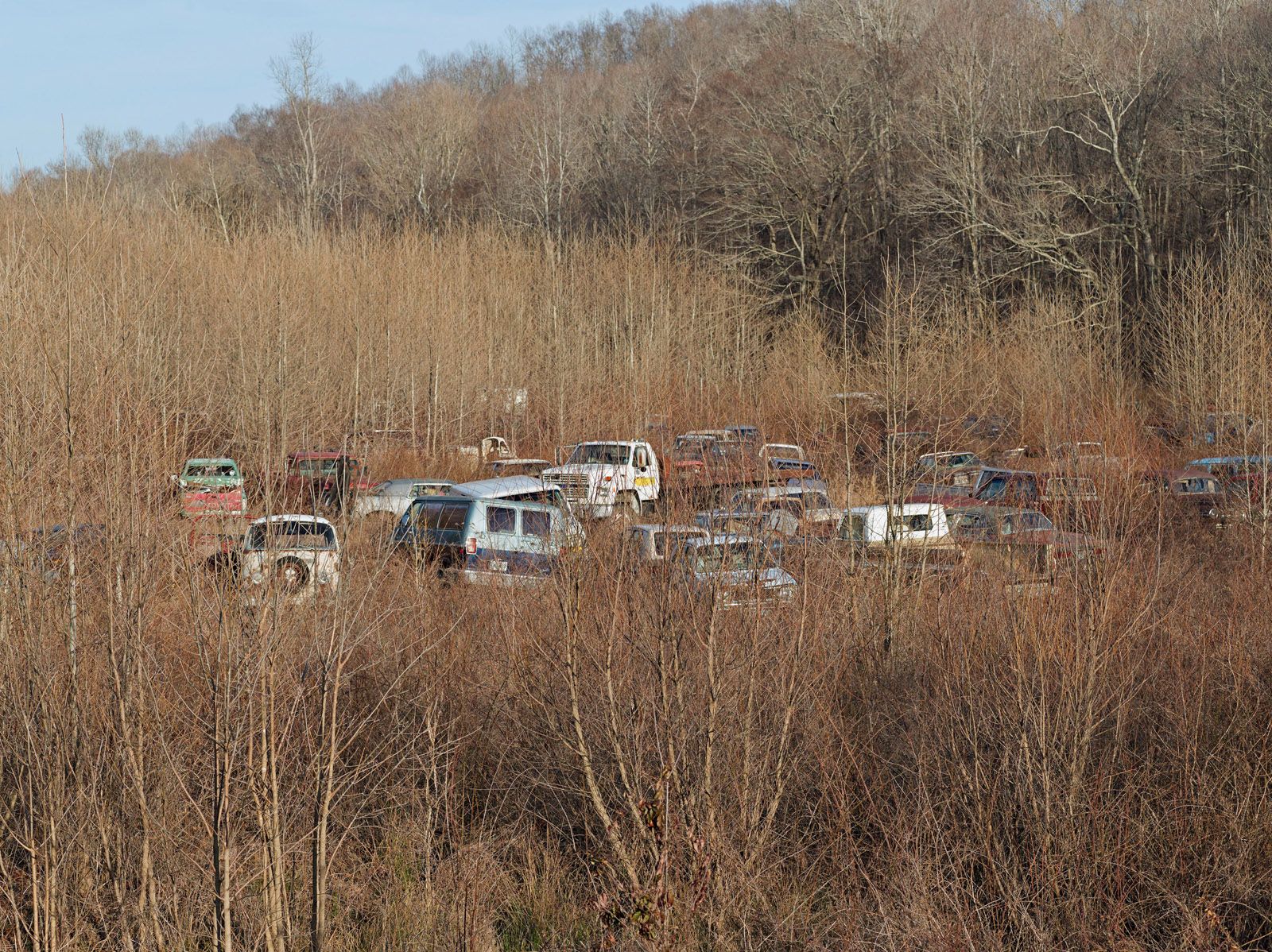 Lucas Foglia — A Natural Order