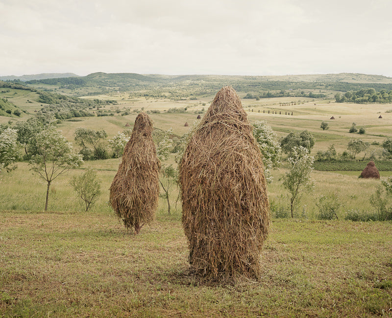 Clare Richardson — Beyond the Forest