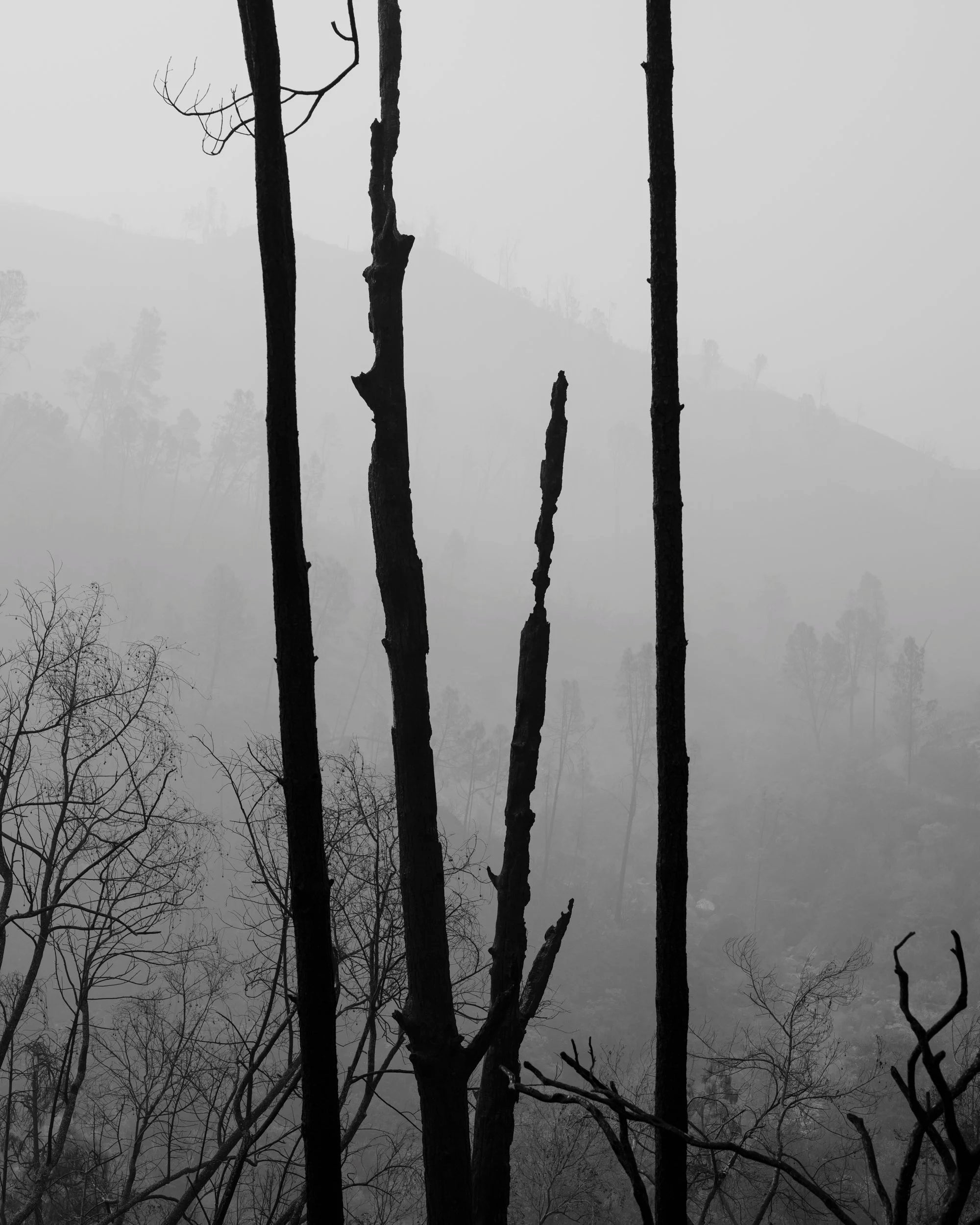 Ian Bates — The Weight of Ash