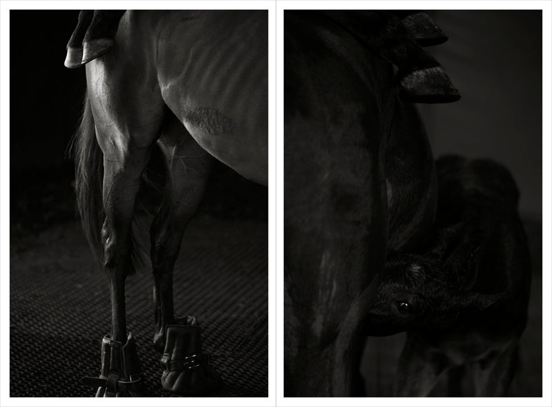 Bruce Connew — Body of Work