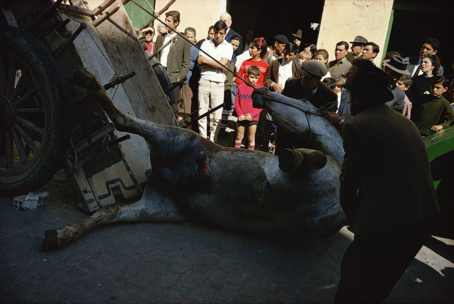 Joel Meyerowitz — Retrospective