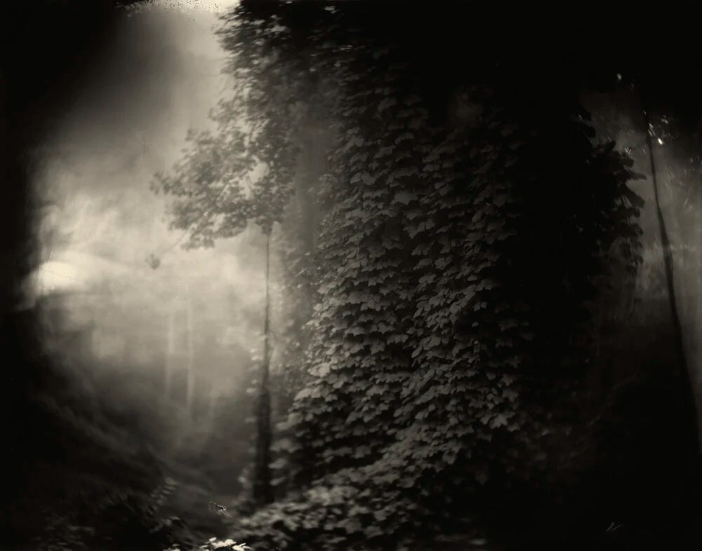 Sally Mann — Deep South