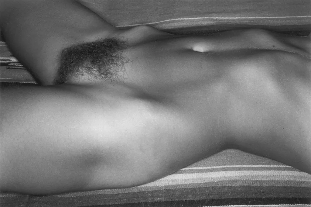 Lee Friedlander — A Second Look, The Nudes
