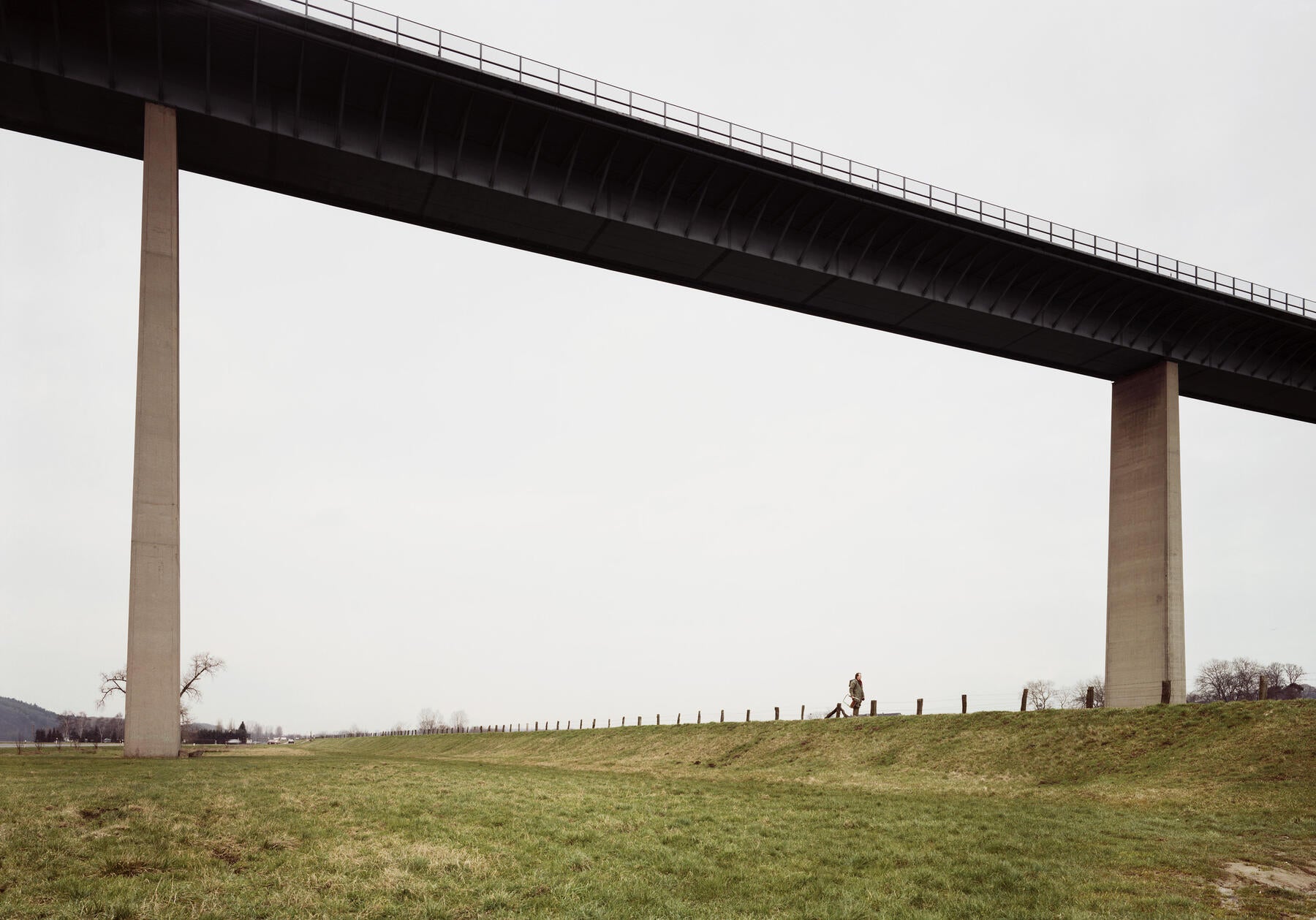 Peter Galassi — Andreas Gursky