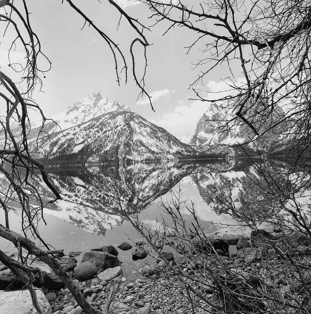 Lee Friedlander — Western Landscapes