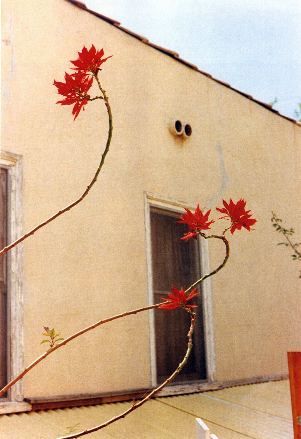 William Eggleston — Ancient and Modern