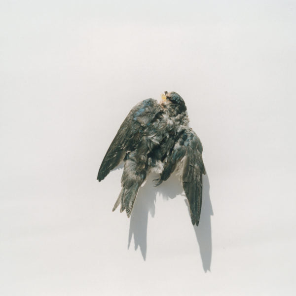 Rinko Kawauchi — Illuminance, Ametsuchi, Seeing Shadow