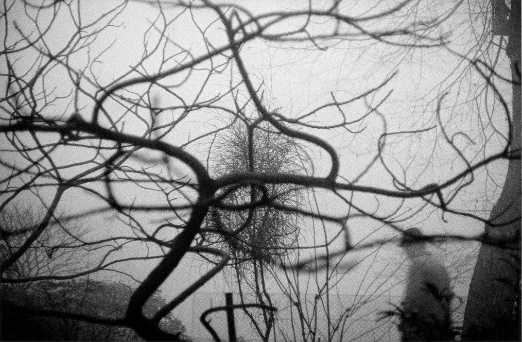 Agnès Sire — Sergio Larrain (Vagabond Photographer)