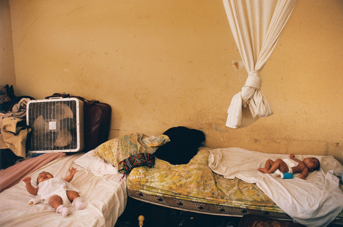 Alex Webb — From the Sunshine State