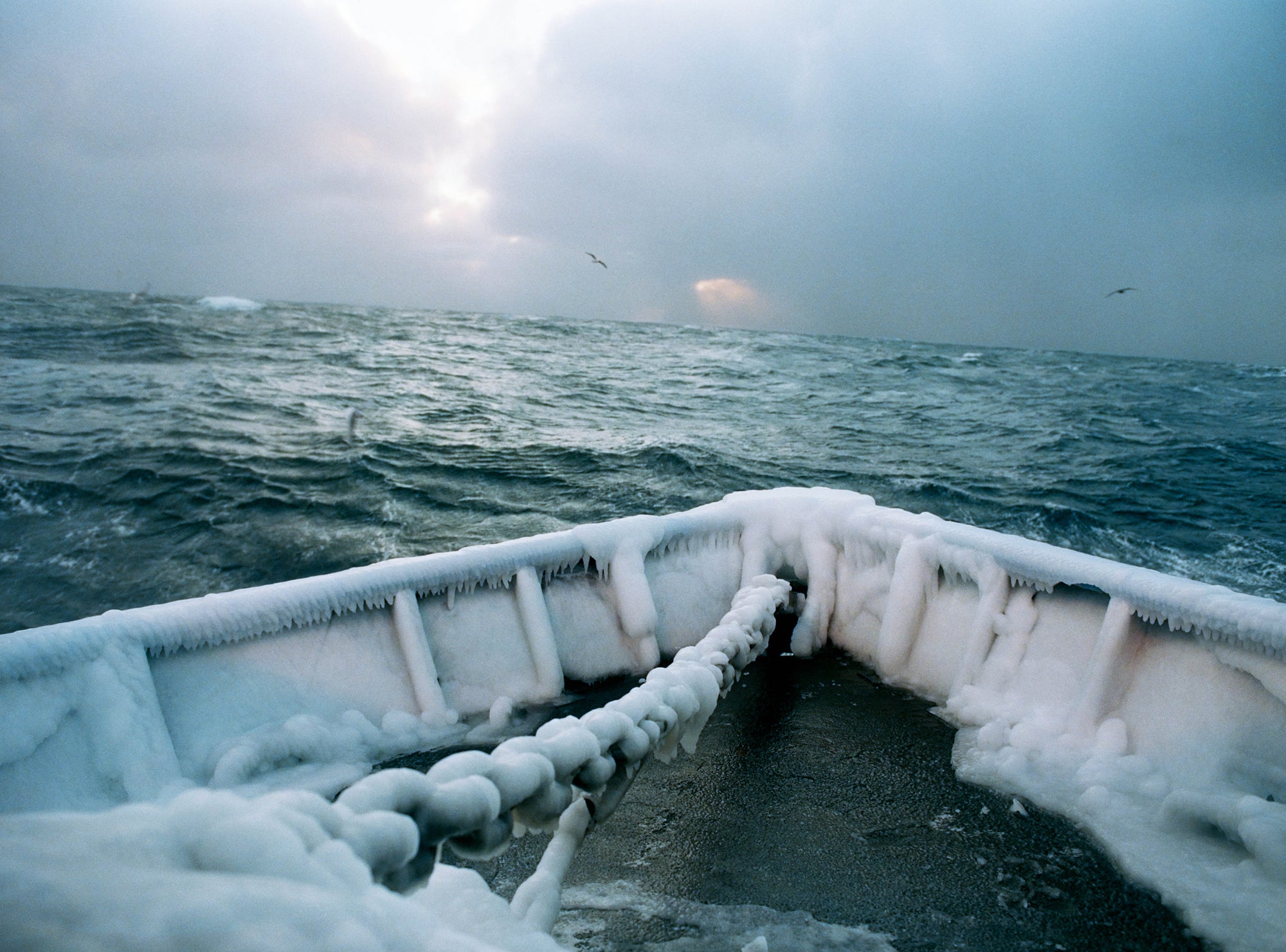 Corey Arnold — Fish-Work: The Bering Sea