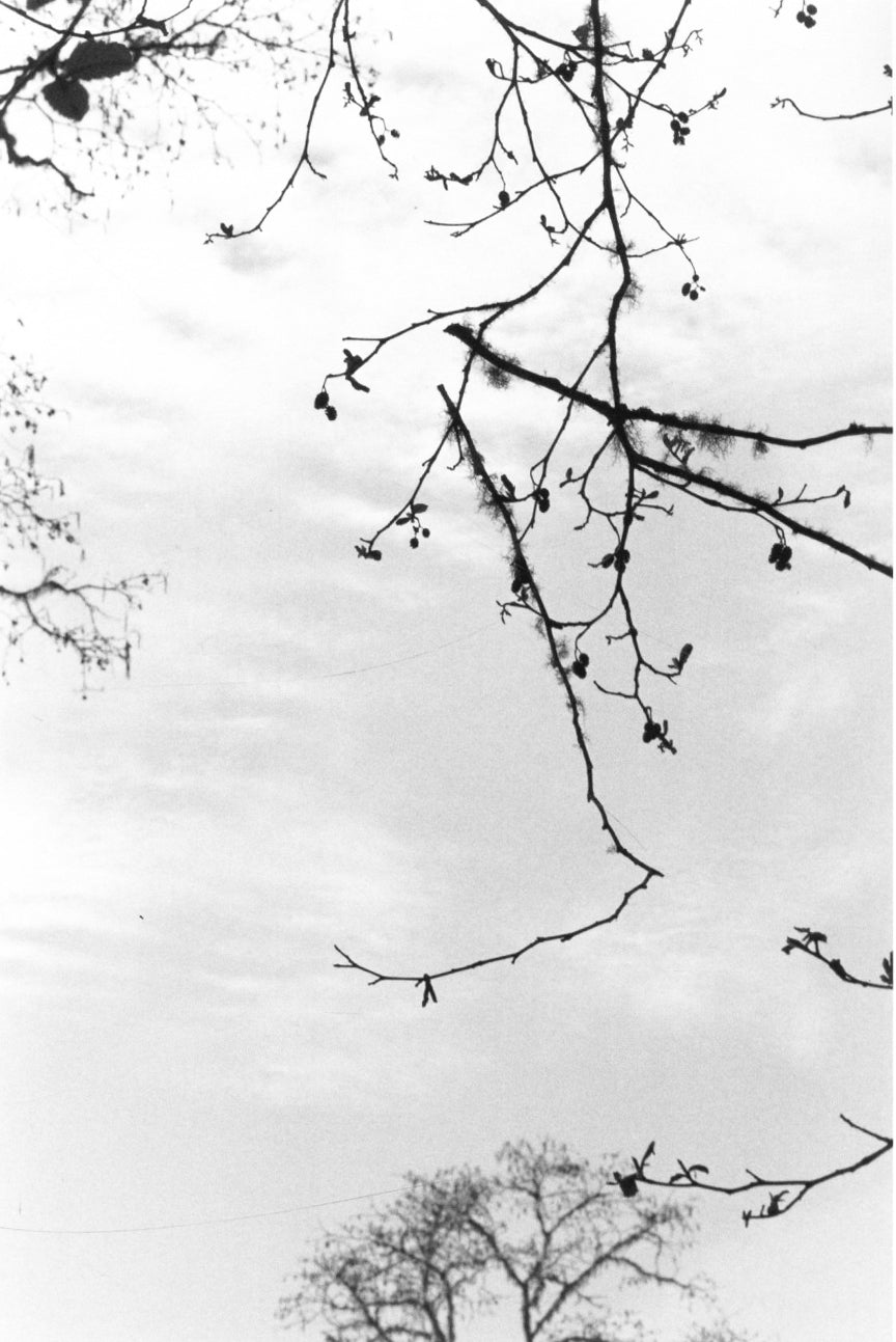Robert Adams — Sea Stories
