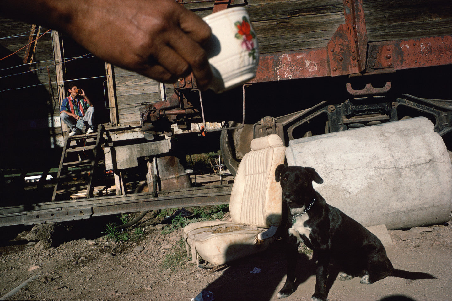 Alex Webb — Crossings