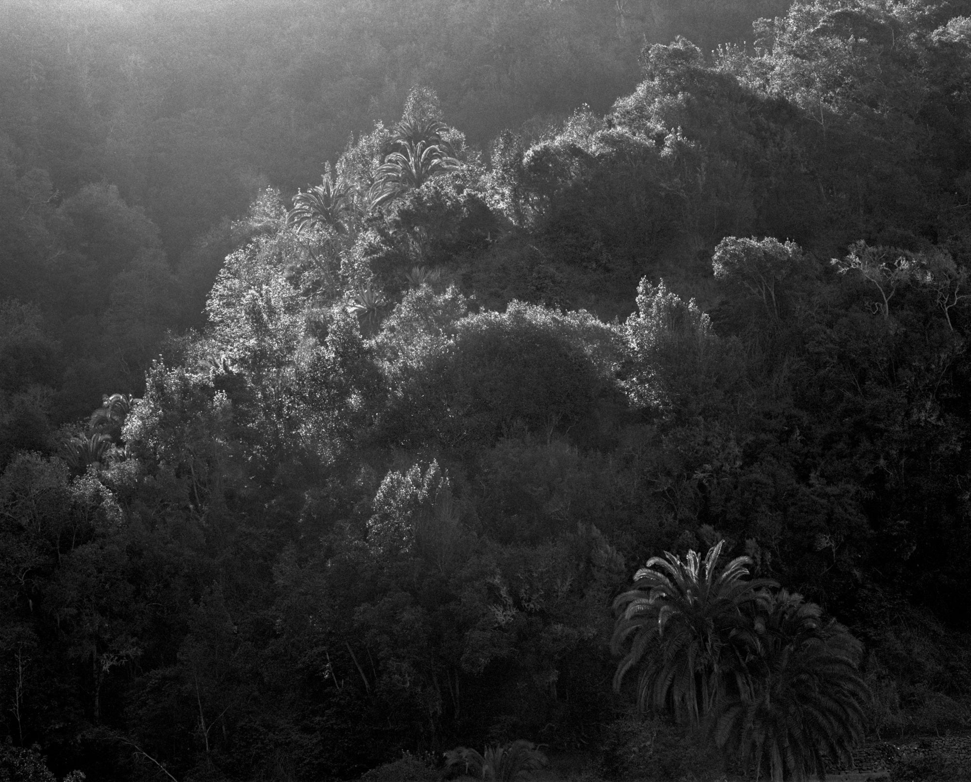 Awoiska van der Molen — Sequester