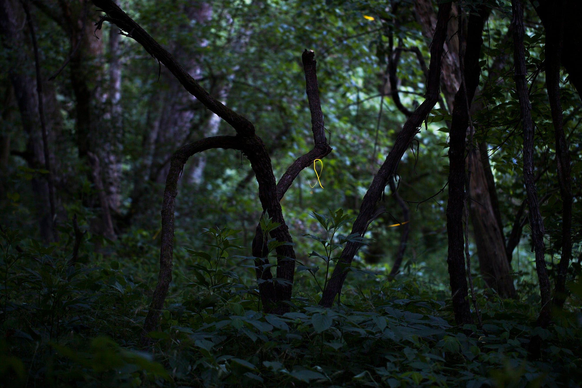 Samuel James — Nightairs