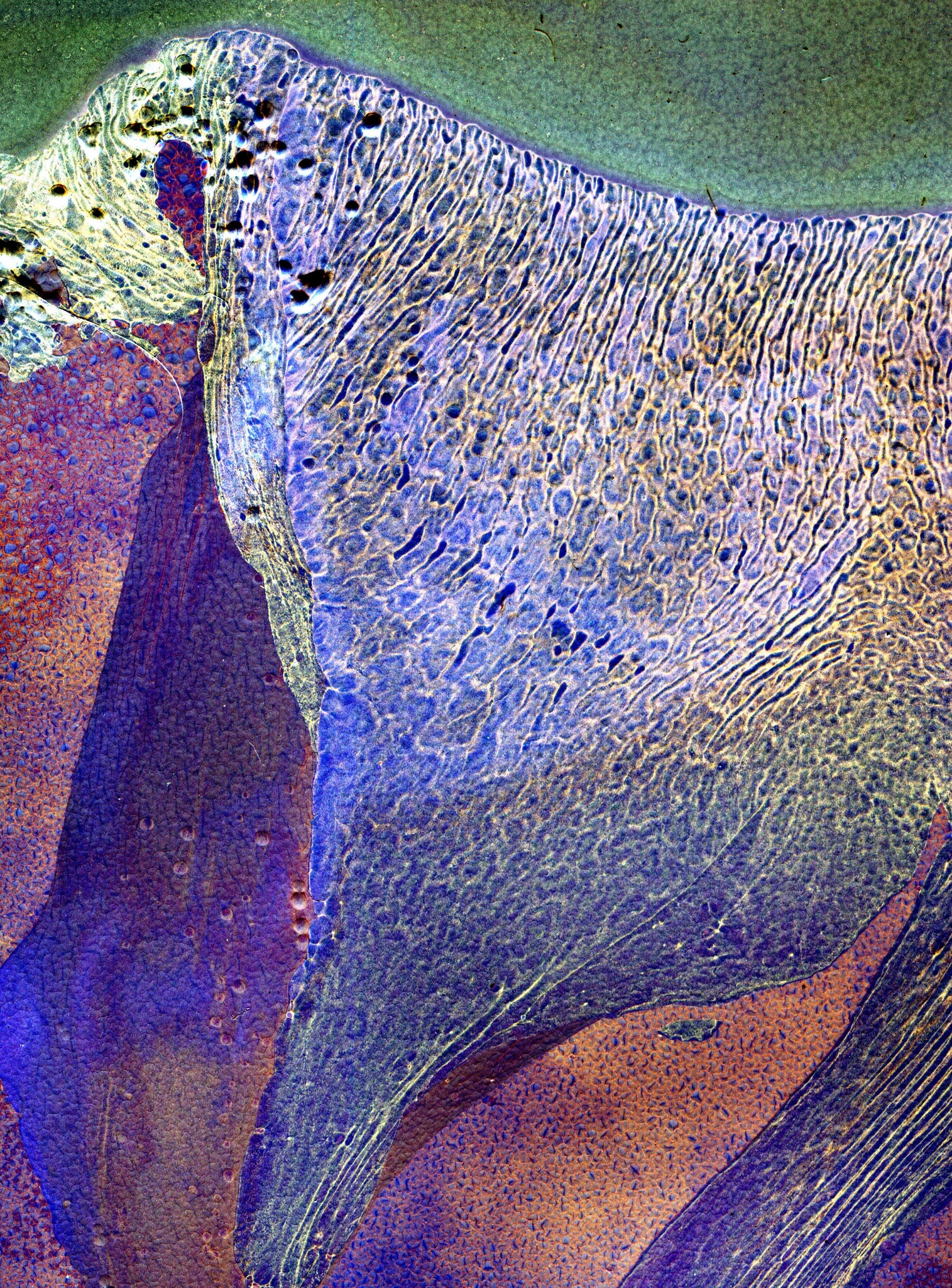 Daisuke Yokota — Matter / Burn Out