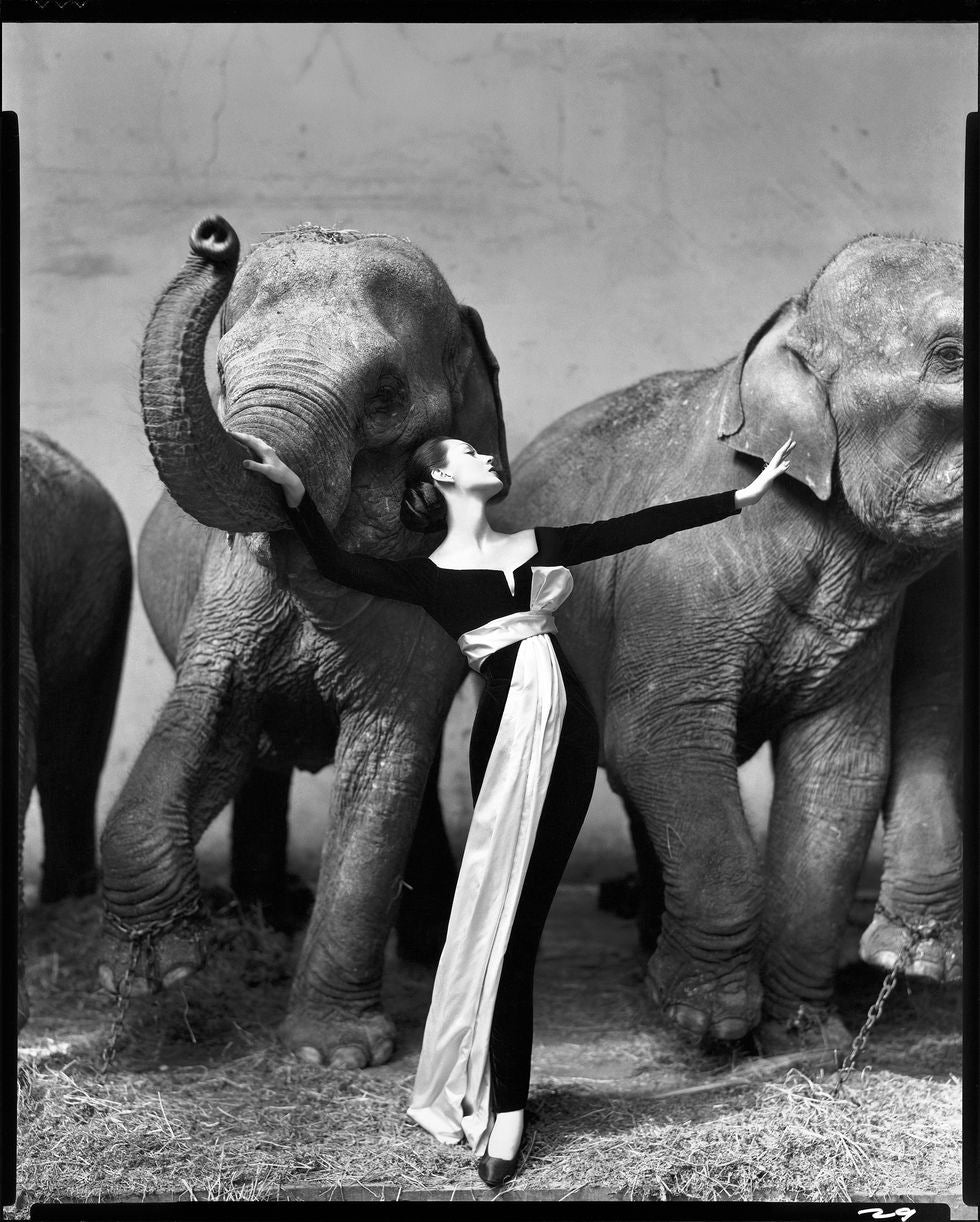 Richard Avedon — Evidence 1944-1994