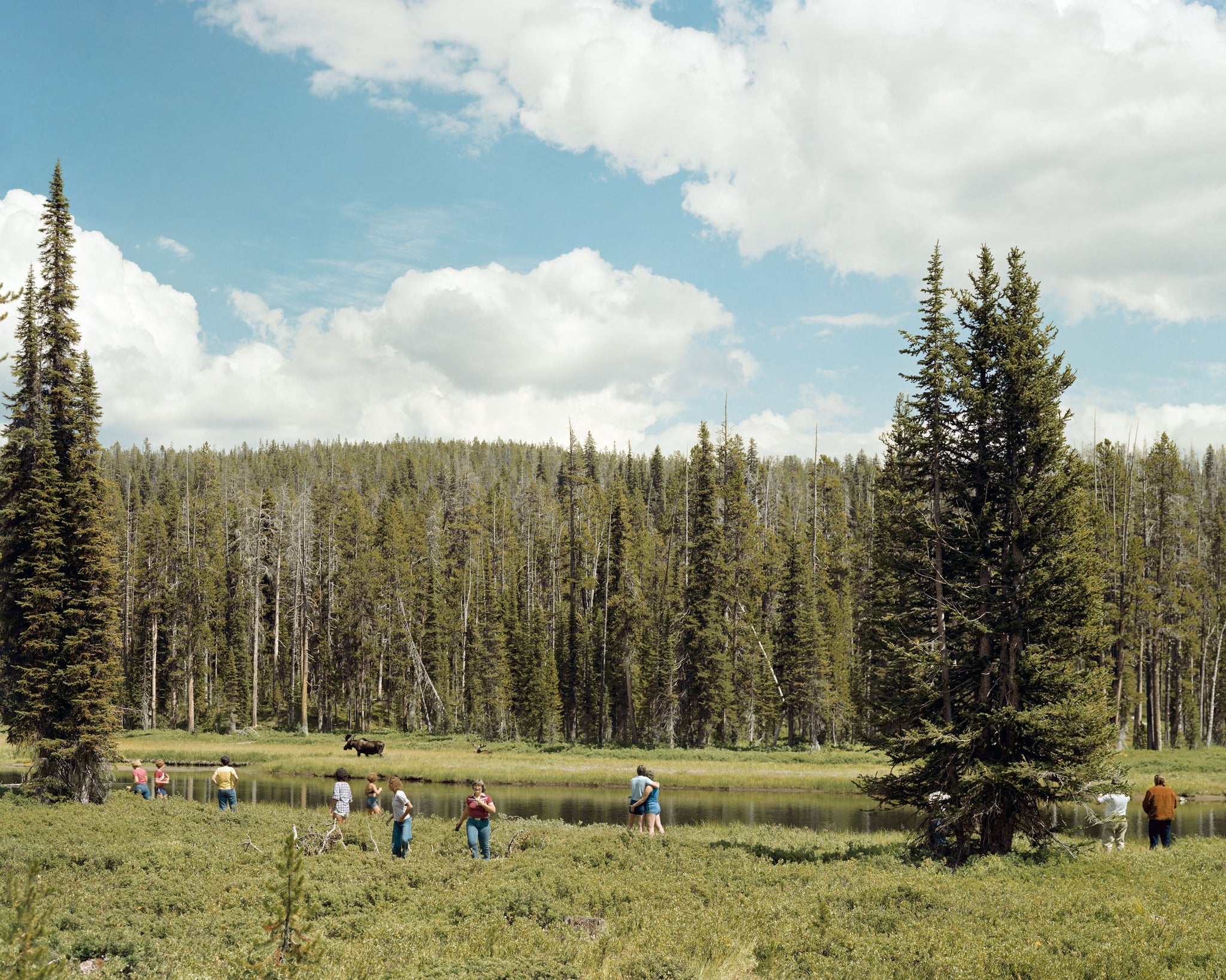 Joel Sternfeld — American Prospects