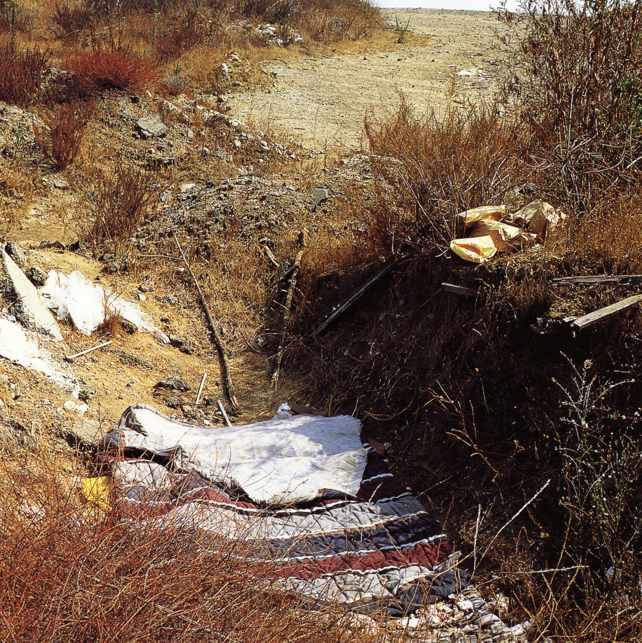 Anthony Hernandez — Sons of Adam: Landscapes for the Homeless II