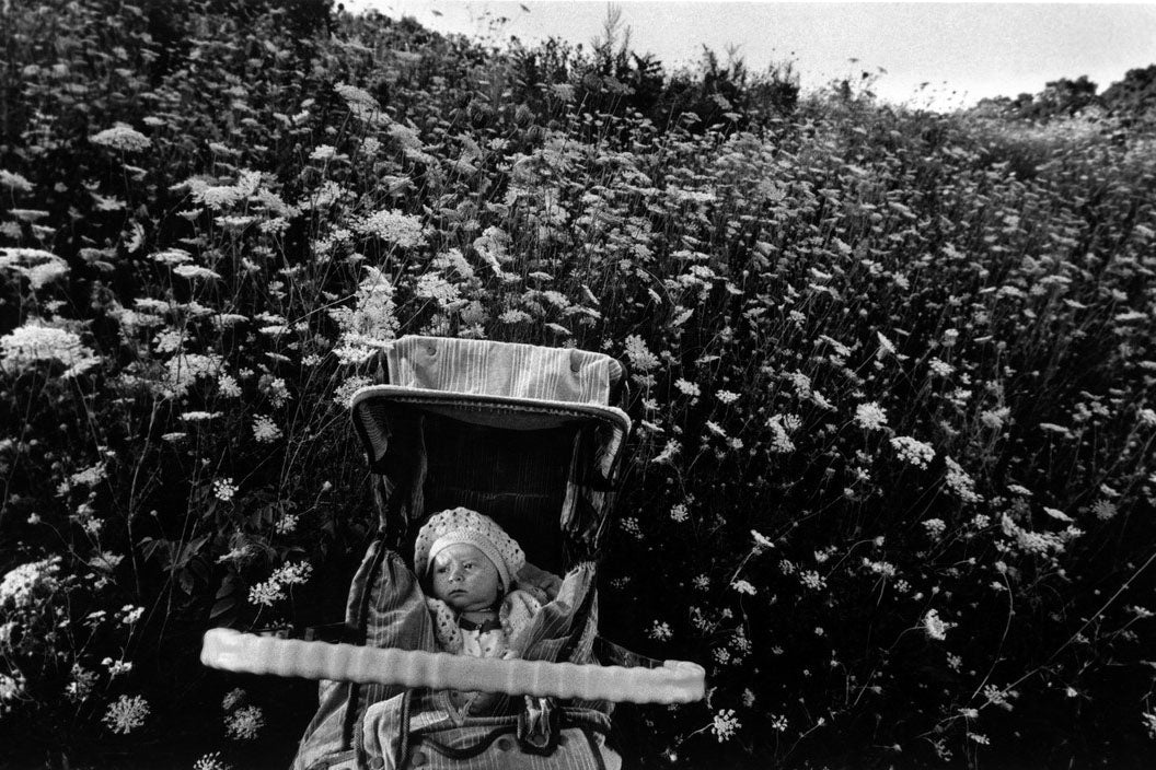 Larry Towell — The World from my Front Porch