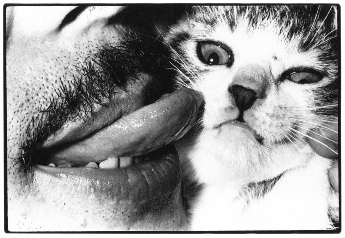 Masahisa Fukase — Wonderful Days