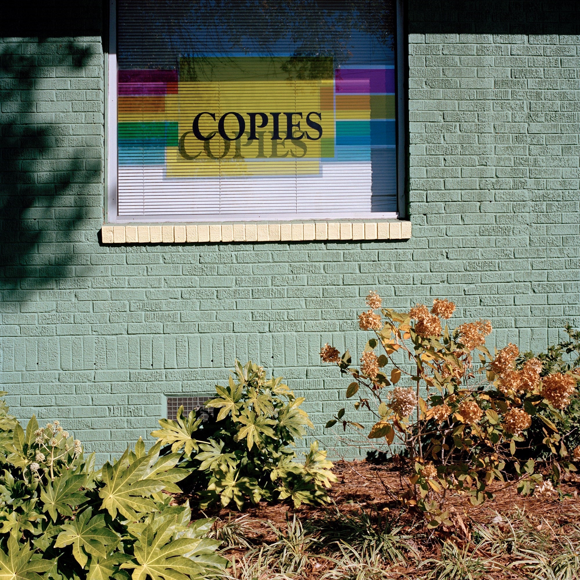 Jason Fulford — Picture Summer on Kodak Film