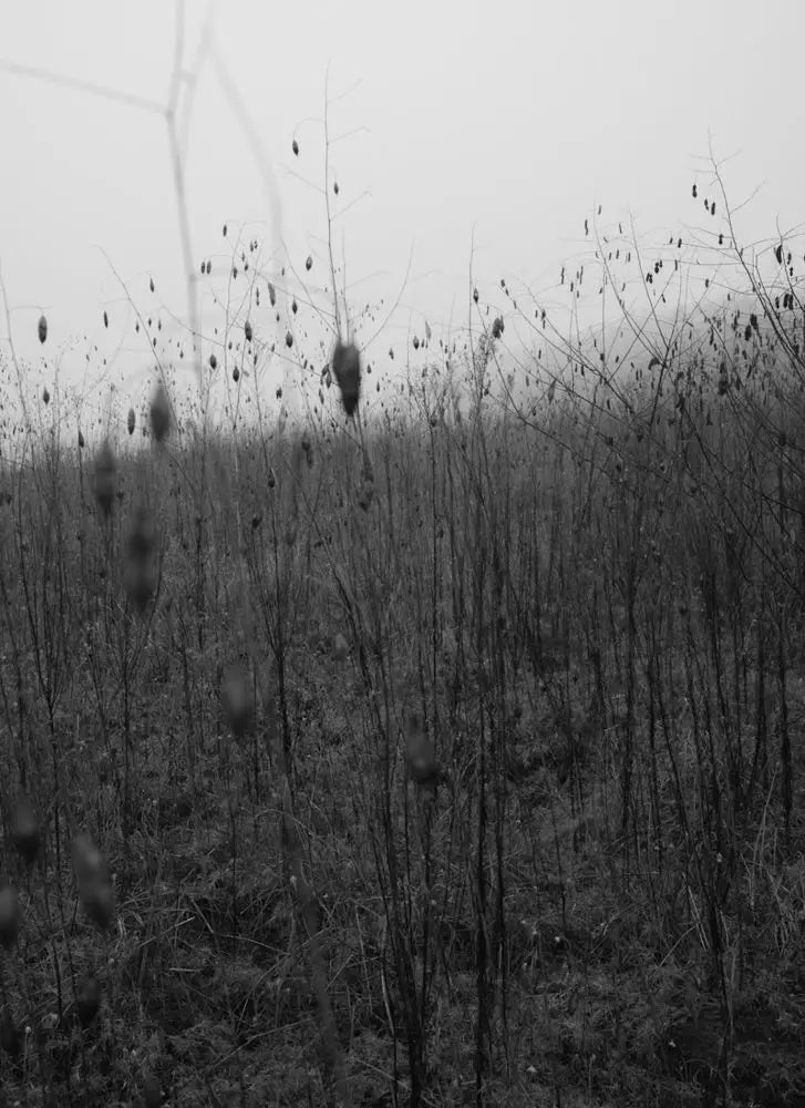 Bryan Schutmaat — County Road